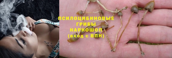 мдма Гусь-Хрустальный